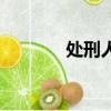 處刑人（關于處刑人的簡介）