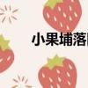小果埔落回（關于小果埔落回簡介）