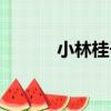 小林桂子（關于小林桂子簡介）