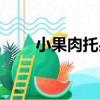 小果肉托果（關于小果肉托果簡介）
