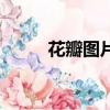 花瓣圖片（關于花瓣圖片的簡介）