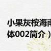 小果灰桉海南個體002（關于小果灰桉海南個體002簡介）