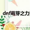 dnf萌芽之力效果（dnf誕生之芽有什么用）