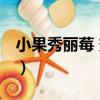 小果秀麗莓 變種（關于小果秀麗莓 變種簡介）