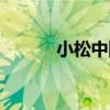 小松中國（關于小松中國簡介）