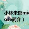 小林未郁miccabose（關于小林未郁miccabose簡介）