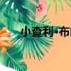小查利·布朗（關于小查利·布朗簡介）