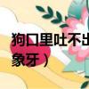 狗口里吐不出象牙打三個數字（狗口里吐不出象牙）