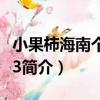 小果柿海南個體003（關于小果柿海南個體003簡介）