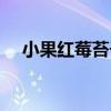 小果紅莓苔子（關于小果紅莓苔子簡介）