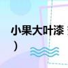 小果大葉漆 變種（關于小果大葉漆 變種簡介）