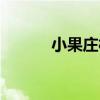 小果莊村（關于小果莊村簡介）