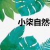 小柒自然村（關于小柒自然村簡介）