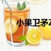 小果衛矛ZS（關于小果衛矛ZS簡介）