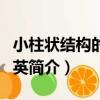 小柱狀結構的脈石英（關于小柱狀結構的脈石英簡介）