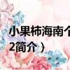 小果柿海南個體002（關于小果柿海南個體002簡介）