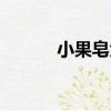 小果皂角（關于小果皂角簡介）