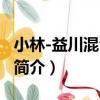 小林-益川混合矩陣（關于小林-益川混合矩陣簡介）
