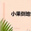 小果倒地鈴（關于小果倒地鈴簡介）