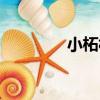 小柘村（關于小柘村簡介）