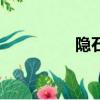 隱石（關于隱石的簡介）