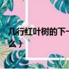 幾行紅葉樹的下一句是什么意思（幾行紅葉樹的下一句是什么）
