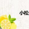 小松壘（關于小松壘簡介）