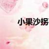 小果沙拐棗（關于小果沙拐棗簡介）