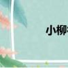 小柳徹（關于小柳徹簡介）