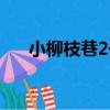 小柳枝巷2號（關于小柳枝巷2號簡介）