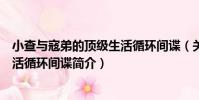 小查與寇弟的頂級生活循環間諜(關于小查與寇弟的頂級生活循環間諜簡介)