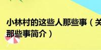 小林村的這些人那些事(關于小林村的這些人那些事簡介)