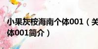小果灰桉海南個體001(關于小果灰桉海南個體001簡介)