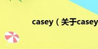 casey(關于casey的簡介)