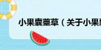 小果囊薹草(關于小果囊薹草簡介)