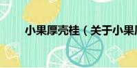 小果厚殼桂(關于小果厚殼桂簡介)