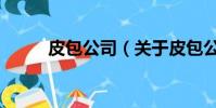 皮包公司(關于皮包公司的簡介)