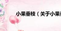 小果垂枝(關于小果垂枝簡介)