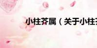 小柱芥屬(關于小柱芥屬簡介)