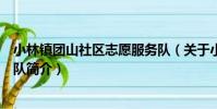 小林鎮團山社區志愿服務隊(關于小林鎮團山社區志愿服務隊簡介)