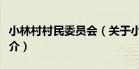 小林村村民委員會(關于小林村村民委員會簡介)
