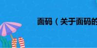 面碼(關于面碼的簡介)