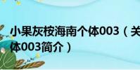 小果灰桉海南個體003(關于小果灰桉海南個體003簡介)