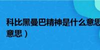 科比黑曼巴精神是什么意思(曼巴精神是什么意思)