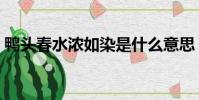 鴨頭春水濃如染是什么意思(鴨頭春水濃如)