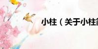小柱(關于小柱簡介)