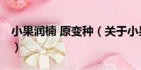 小果潤楠 原變種(關于小果潤楠 原變種簡介)