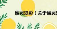 幽靈鬼影(關于幽靈鬼影介紹)