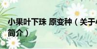 小果葉下珠 原變種(關于小果葉下珠 原變種簡介)
