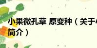 小果微孔草 原變種(關于小果微孔草 原變種簡介)